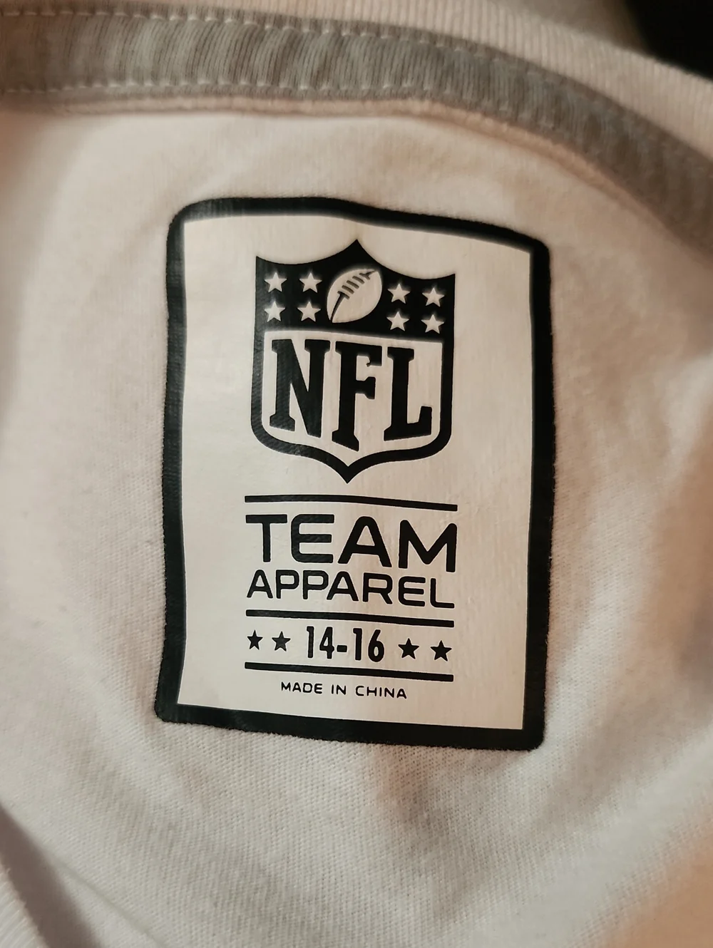 NFL official raiders